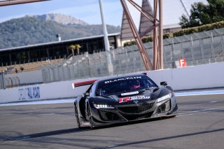 Paul Ricard test - #6 Reno Racing Honda NSX GT3 Evo - J.Moeller | Blancpain GT Sports Club