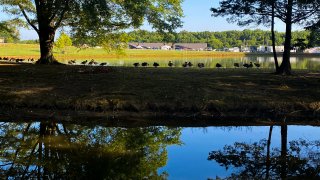 VIRginia International Raceway 2020 | SRO America