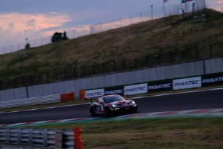 #5 Speed Factory Racing LTU Porsche 911 GT2 RS Aurelijus Rusteika LTU Michael Vergers  NLD Pro-Am, Race 2
 | SRO / Dirk Bogaerts Photography