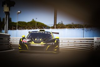 #67 LP Racing Audi R8 LMS GT2 Henry Hassid Am, Free Practice 2
 | SRO / Patrick Hecq Photography