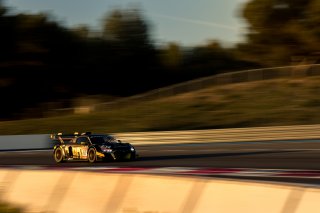 #67 LP Racing - Henry Hassid - TBC - Audi R8 LMS GT2 - Am, GT2, Race 2
 | SRO / Morgan MATHURIN