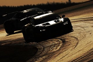 #67 - LP Racing - Henry Hassid - Anthony Beltoise - Audi R8 LMS GT2, Free Practice 1
 | jakob ebrey jep