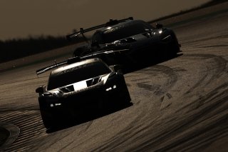 #67 - LP Racing - Henry Hassid - Anthony Beltoise - Audi R8 LMS GT2, Free Practice 1
 | jakob ebrey jep