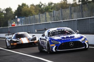 #61 - Akkodis ASP - Mauro RICCI - Benjamin RICCI - Mercedes-AMG GT2
 | SRO / JEP