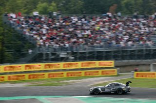 #53 - Akkodis ASP - Pascal GIBON - Christophe BOURRET - Mercedes-AMG GT2
 | SRO/JEP