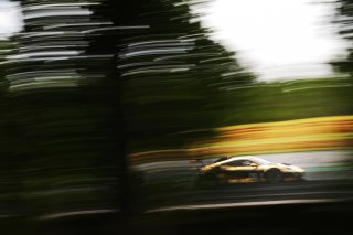 #67 - DINAMIC Motorsport - Roberto PAMPANINI - Mauro CALAMIA - Maserati GT2
 | SRO / JEP