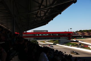 #67 - DINAMIC Motorsport - Roberto PAMPANINI - Mauro CALAMIA - Maserati GT2
 | SRO / JEP