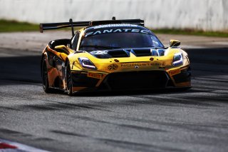 #67 - DINAMIC Motorsport - Roberto PAMPANINI - Mauro CALAMIA - Maserati GT2
 | SRO / JEP