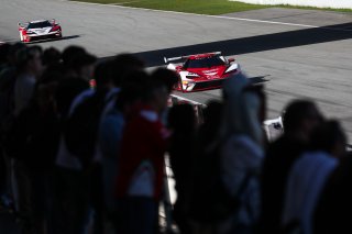 #80 - Razoon - more than racing - Thomas ANDERSEN - Simon BIRCH - KTM X-BOW GT2
 | SRO / JEP