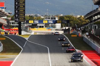 #115 - NM Racing Team - Alberto DE MARTIN - Nil MONTSERRAT - Mercedes-AMG GT2
 | SRO / JEP