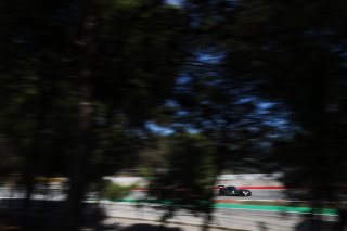 #115 - NM Racing Team - Alberto DE MARTIN - Nil MONTSERRAT - Mercedes-AMG GT2
 | SRO / JEP