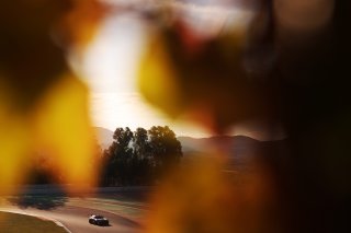#115 - NM Racing Team - Alberto DE MARTIN - Nil MONTSERRAT - Mercedes-AMG GT2
 | SRO / JEP