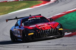 #294 - RTR Projects - Petr LISA - Ondrej ROKOS - Mercedes-AMG GT2-
 | SRO / JEP