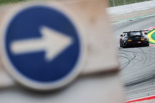 #294 - RTR Projects - Petr LISA - Ondrej ROKOS - Mercedes-AMG GT2
 | SRO / JEP