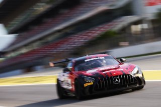 #294 - RTR Projects - Petr LISA - Ondrej ROKOS - Mercedes-AMG GT2
 | SRO / JEP