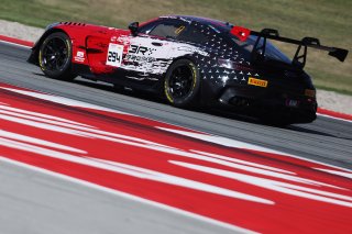#294 - RTR Projects - Petr LISA - Ondrej ROKOS - Mercedes-AMG GT2
 | SRO / JEP