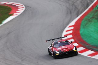 #294 - RTR Projects - Petr LISA - Ondrej ROKOS - Mercedes-AMG GT2
 | SRO / JEP