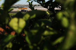 #115 - NM Racing Team - Alberto DE MARTIN - Nil MONTSERRAT - Mercedes-AMG GT2
 | SRO / JEP