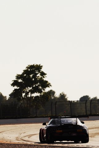 #294 - RTR Projects - Petr LISA - Ondrej ROKOS - Mercedes-AMG GT2
 | SRO / JEP