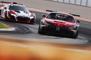 #294 - RTR Projects - Petr LISA - Ondrej ROKOS - Mercedes-AMG GT2
 | SRO / JEP