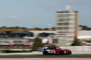 #294 - RTR Projects - Petr LISA - Ondrej ROKOS - Mercedes-AMG GT2
 | SRO / JEP