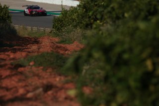 #294 - RTR Projects - Petr LISA - Ondrej ROKOS - Mercedes-AMG GT2
 | SRO / JEP