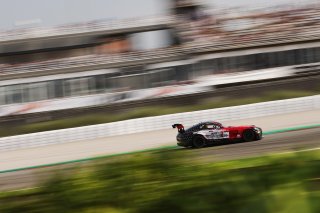 #294 - RTR Projects - Petr LISA - Ondrej ROKOS - Mercedes-AMG GT2
 | SRO / JEP