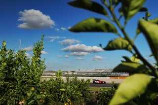 #294 - RTR Projects - Petr LISA - Ondrej ROKOS - Mercedes-AMG GT2
 | SRO / JEP