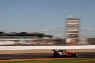 #294 - RTR Projects - Petr LISA - Ondrej ROKOS - Mercedes-AMG GT2
 | SRO / JEP