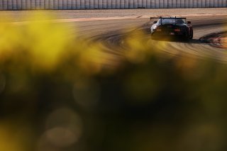 #294 - RTR Projects - Petr LISA - Ondrej ROKOS - Mercedes-AMG GT2
 | SRO / JEP