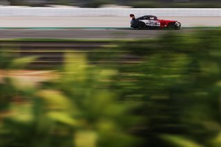 #294 - RTR Projects - Petr LISA - Ondrej ROKOS - Mercedes-AMG GT2
 | SRO / JEP