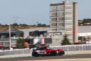 #294 - RTR Projects - Petr LISA - Ondrej ROKOS - Mercedes-AMG GT2
 | SRO / JEP