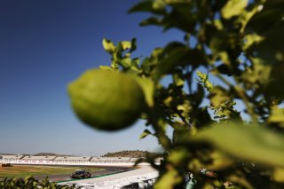 #7 - DINAMIC Motorsport - Roberto PAMPANINI - Mauro CALAMIA - Maserati GT2
 | SRO / JEP
