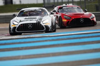 #115 - NM Racing Team - Alberto DE MARTIN - Nil MONTSERRAT - Mercedes-AMG GT2 | SRO / JEP