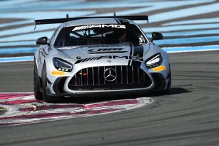 #115 - NM Racing Team - Alberto DE MARTIN - Nil MONTSERRAT - Mercedes-AMG GT2 | SRO / JEP