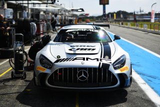 #115 - NM Racing Team - Alberto DE MARTIN - Nil MONTSERRAT - Mercedes-AMG GT2 | SRO / JEP