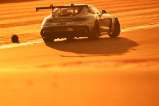#115 - NM Racing Team - Alberto DE MARTIN - Nil MONTSERRAT - Mercedes-AMG GT2 | SRO / JEP