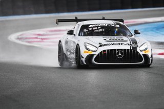 #115 - NM Racing Team - Alberto DE MARTIN - Nil MONTSERRAT - Mercedes-AMG GT2 | SRO / JEP