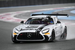 #115 - NM Racing Team - Alberto DE MARTIN - Nil MONTSERRAT - Mercedes-AMG GT2 | SRO / JEP