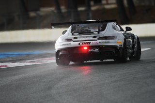 #115 - NM Racing Team - Alberto DE MARTIN - Nil MONTSERRAT - Mercedes-AMG GT2 | SRO / JEP