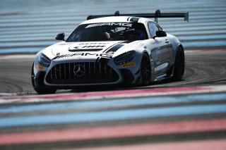 #115 - NM Racing Team - Alberto DE MARTIN - Nil MONTSERRAT - Mercedes-AMG GT2 | SRO / JEP