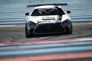 #115 - NM Racing Team - Alberto DE MARTIN - Nil MONTSERRAT - Mercedes-AMG GT2 | SRO / JEP
