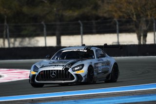 #115 - NM Racing Team - Alberto DE MARTIN - Nil MONTSERRAT - Mercedes-AMG GT2 | SRO / JEP