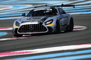 #115 - NM Racing Team - Alberto DE MARTIN - Nil MONTSERRAT - Mercedes-AMG GT2 | SRO / JEP