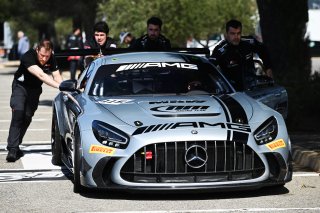 #115 - NM Racing Team - Alberto DE MARTIN - Nil MONTSERRAT - Mercedes-AMG GT2 | SRO / JEP