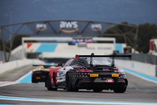#294 - RTR Projects - Ondrej ROKOS - Petr LISA - Mercedes-AMG GT2 | SRO / JEP