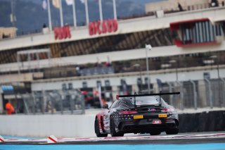 #294 - RTR Projects - Ondrej ROKOS - Petr LISA - Mercedes-AMG GT2 | SRO / JEP