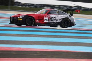 #294 - RTR Projects - Ondrej ROKOS - Petr LISA - Mercedes-AMG GT2 | SRO / JEP