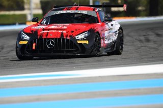#294 - RTR Projects - Ondrej ROKOS - Petr LISA - Mercedes-AMG GT2 | SRO / JEP