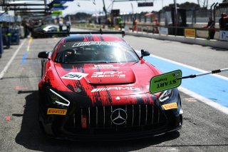 #294 - RTR Projects - Ondrej ROKOS - Petr LISA - Mercedes-AMG GT2 | SRO / JEP